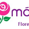 Rosa Magica ,Floricultura,lda
